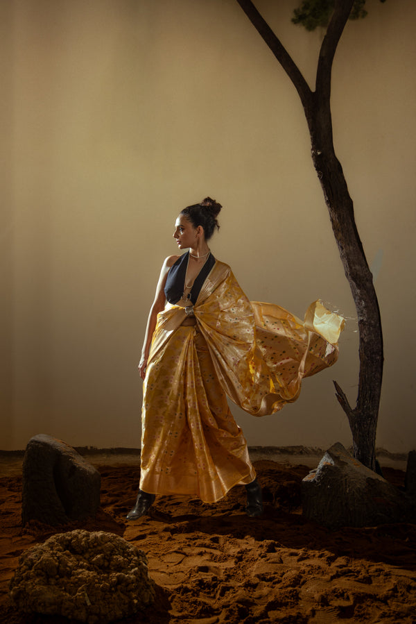 Danyah Banaras Malmal Silk Predraped Saree — image 1