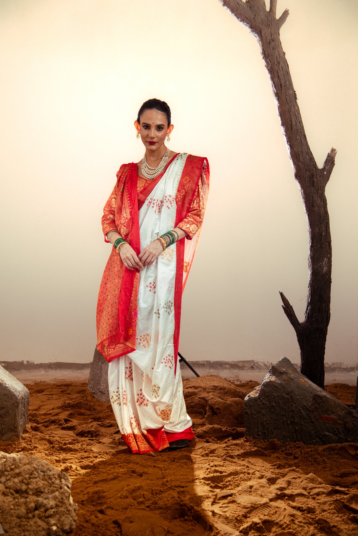 Danyah Banaras Mashru Satin Silk Predraped Saree