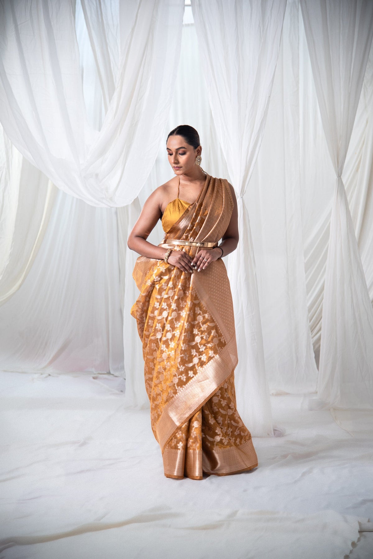 Danyah Banaras Tissue Silk Jaal Pre Draped Saree — image 1