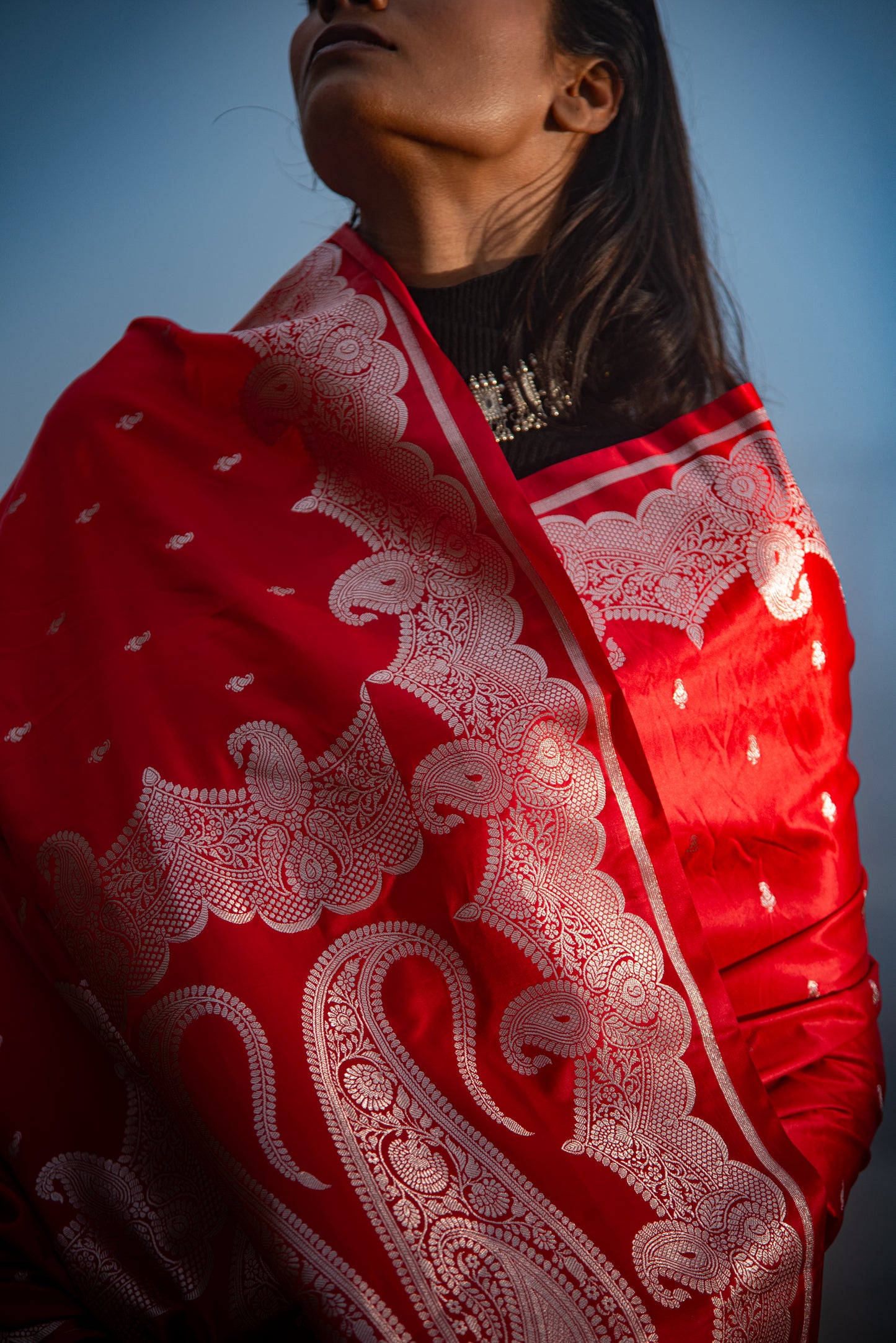 Danyah Banaras Fine Mashru Silk Predraped Saree