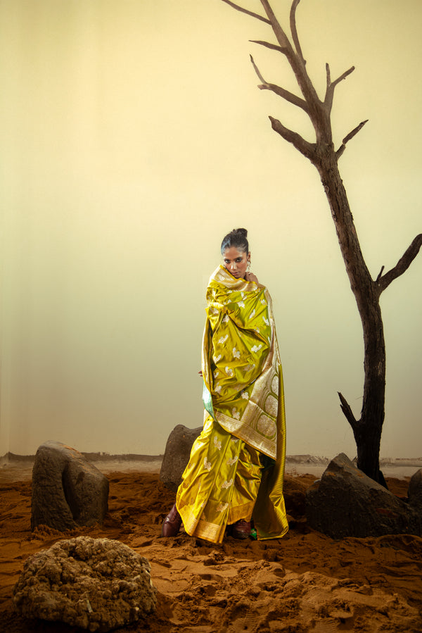 Danyah Banaras Katan Silk Sonarupa Predraped Saree — alternate view (back / drape detail)