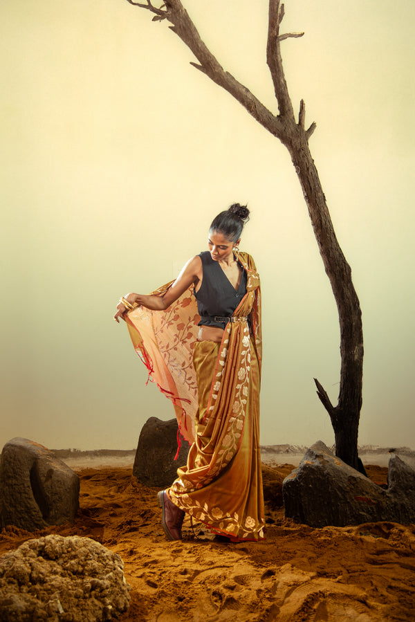 Danyah Banaras Katban Cotton Predraped Saree — alternate view (back / drape detail)