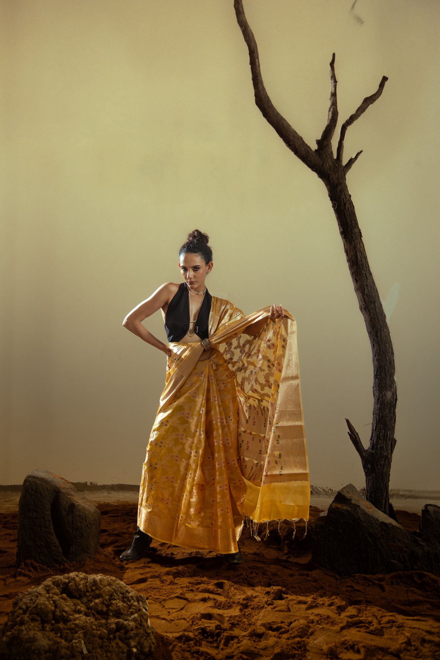 Danyah Banaras Malmal Silk Predraped Saree