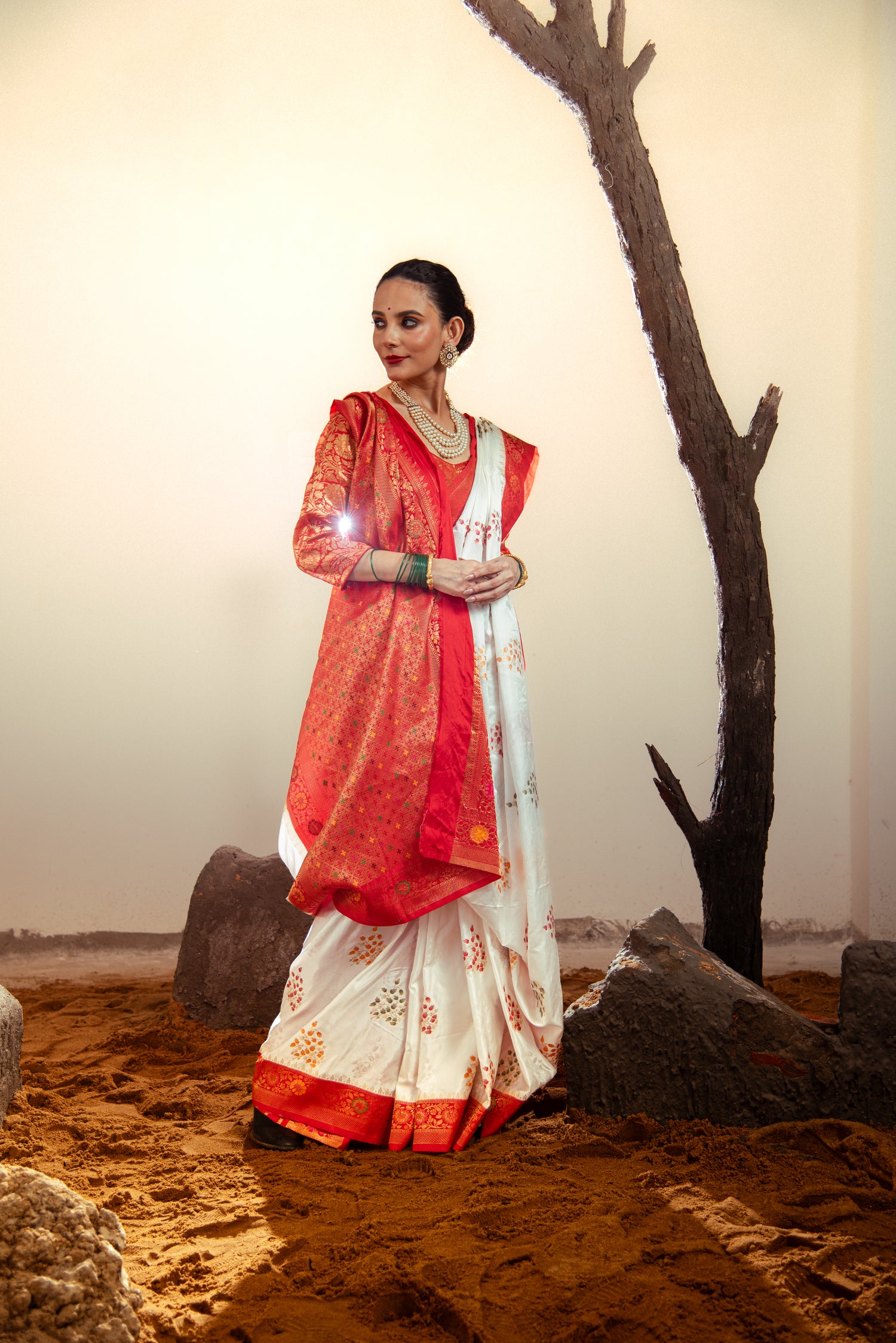 Danyah Banaras Mashru Satin Silk Predraped Saree