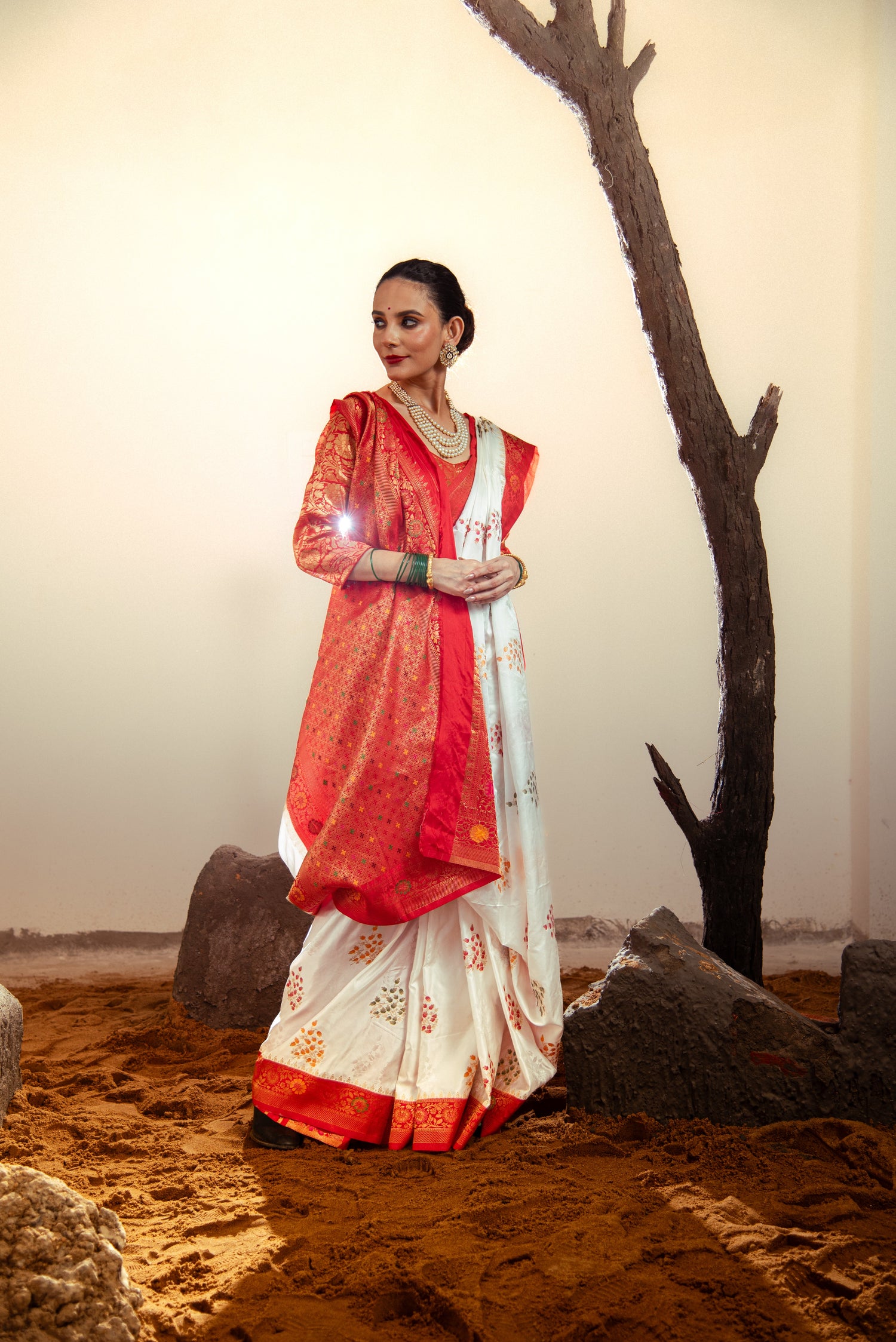 Danyah Banaras Mashru Satin Silk Predraped Saree — image 2