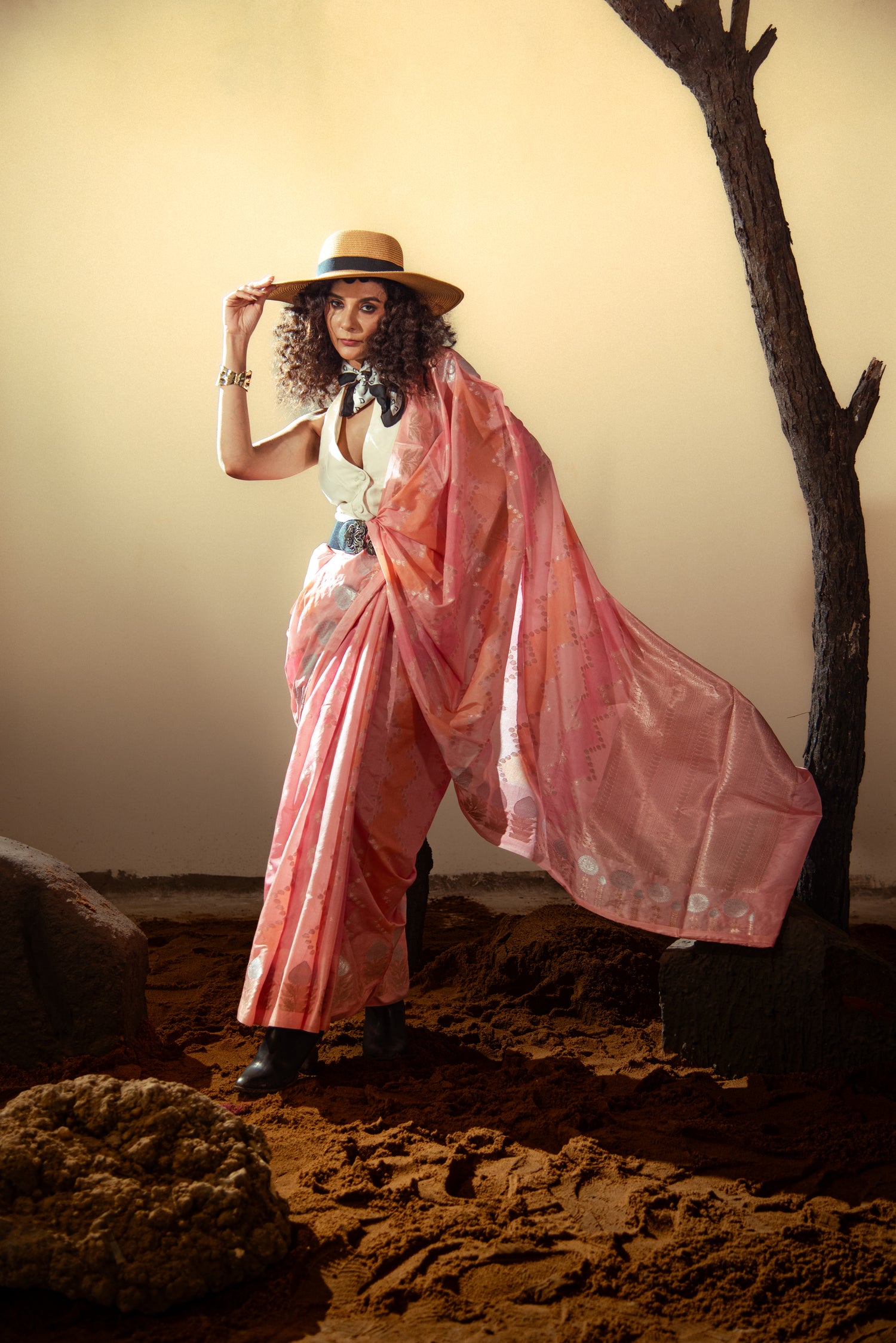 Danyah Banaras Raw Mango Rangkart Predraped Saree