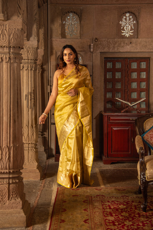 Danyah Banaras Tissue Silk Pre Draped Saree