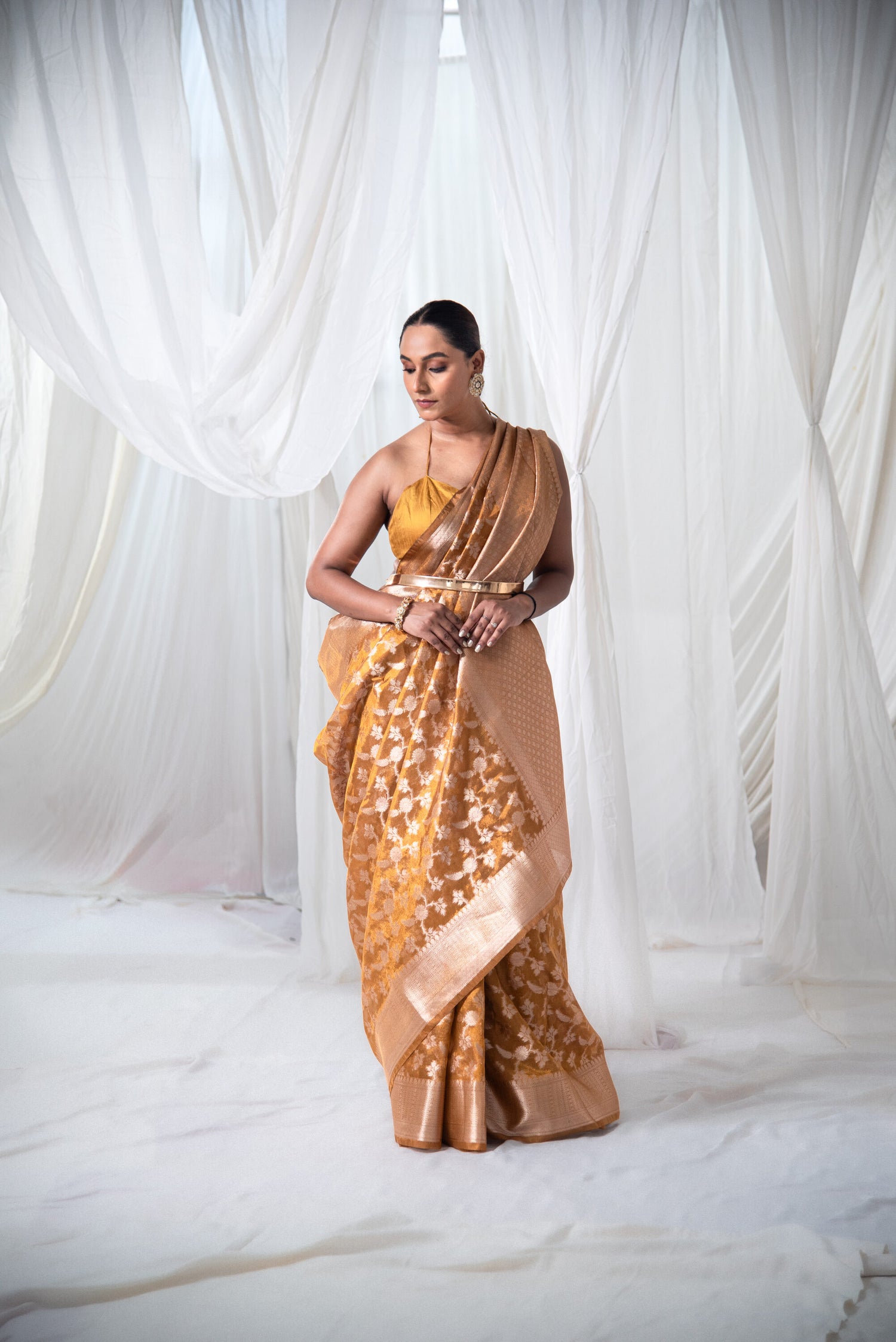 Danyah Banaras Tissue Silk Jaal Pre Draped Saree