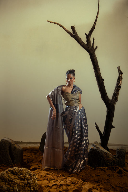 Danyah Banaras Silk Viscose Predraped Saree